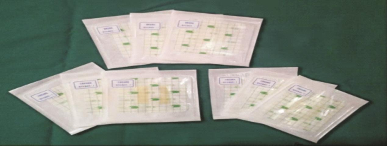 顛覆性新興產(chǎn)業(yè)與產(chǎn)品&mdash;&mdash; 高端現(xiàn)代敷料產(chǎn)品產(chǎn)業(yè)化 